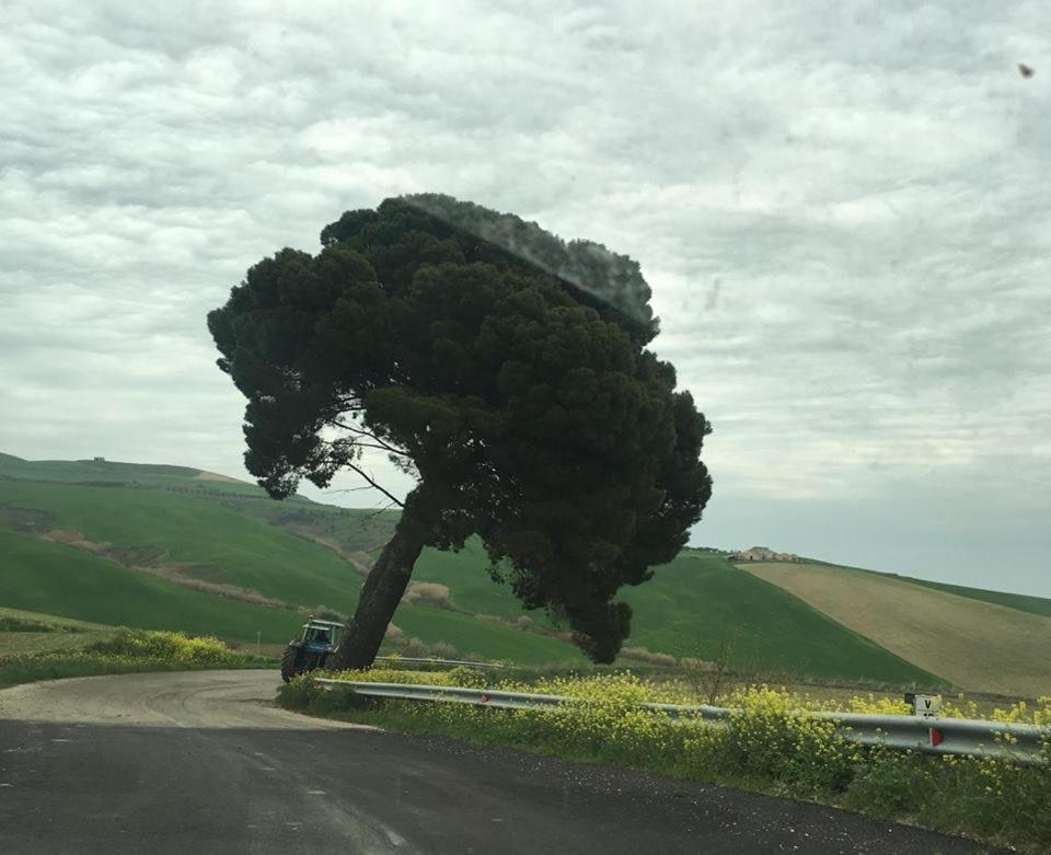 Antiche Mura Irsina Esterno foto